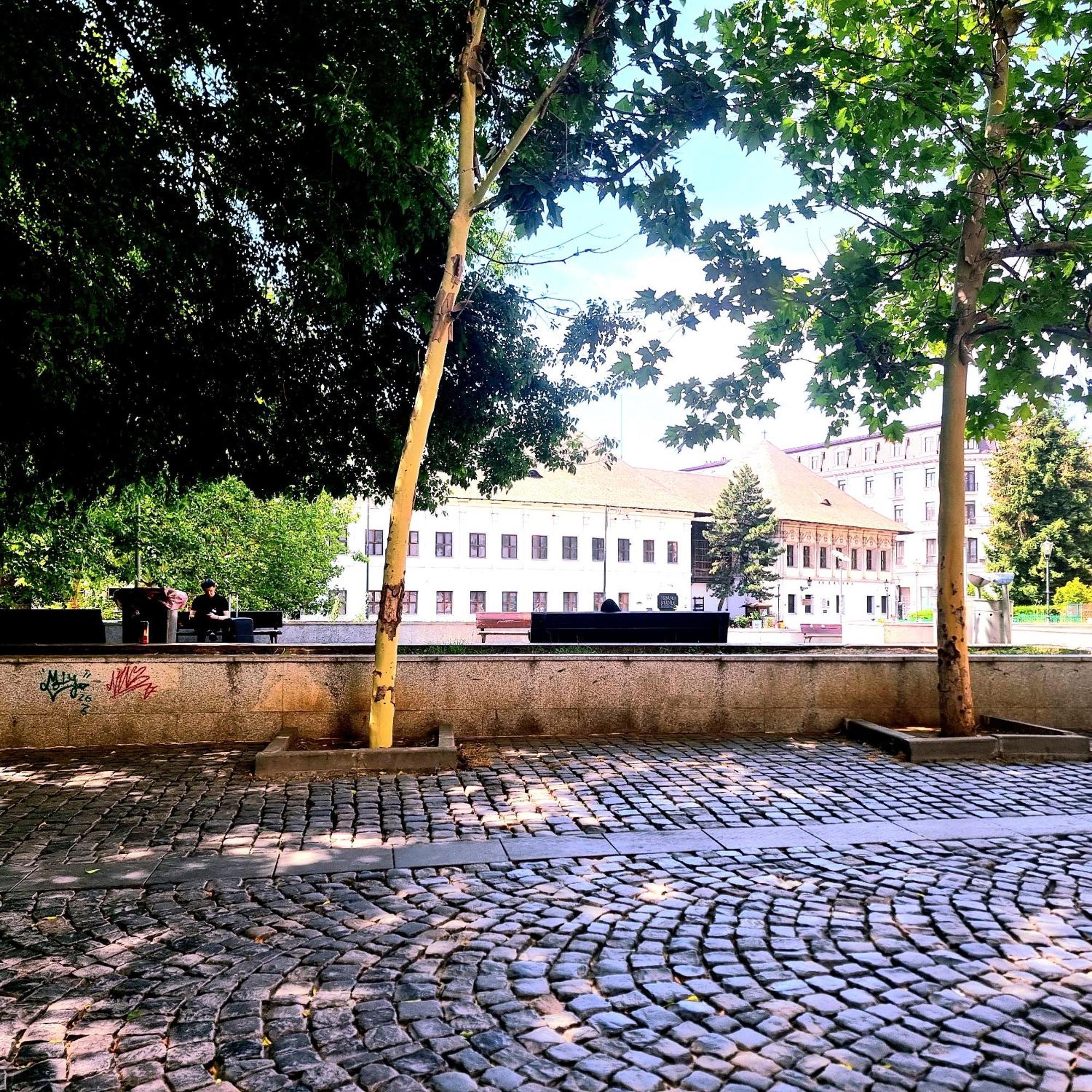 Enchanting Retreat - Historic Old Town - Pet-Friendly Haven - Steps From Unirii Boekarest Buitenkant foto