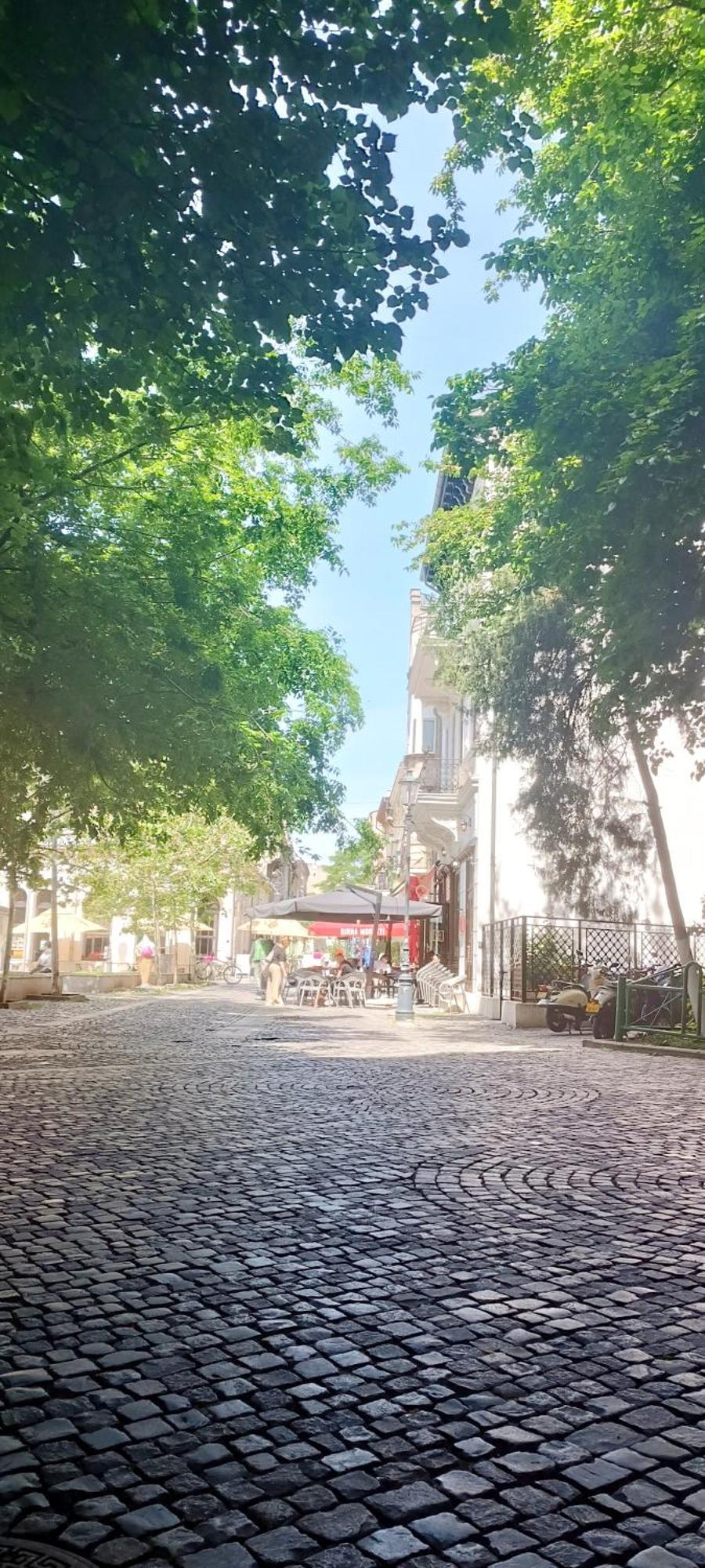 Enchanting Retreat - Historic Old Town - Pet-Friendly Haven - Steps From Unirii Boekarest Buitenkant foto